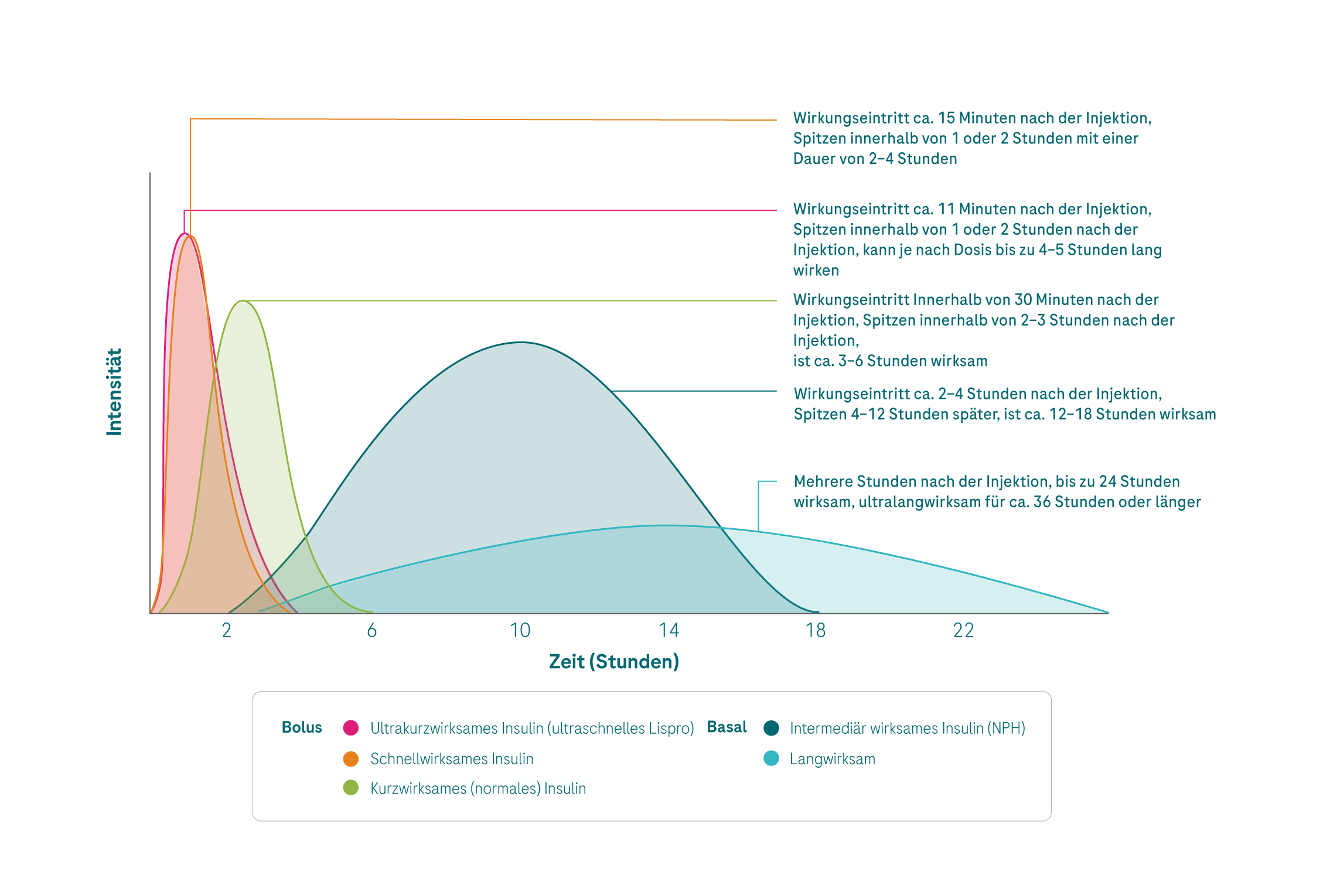 6.5.1.%20%2B%206.5.2%20hypo%20causes_%20insulin_G.png